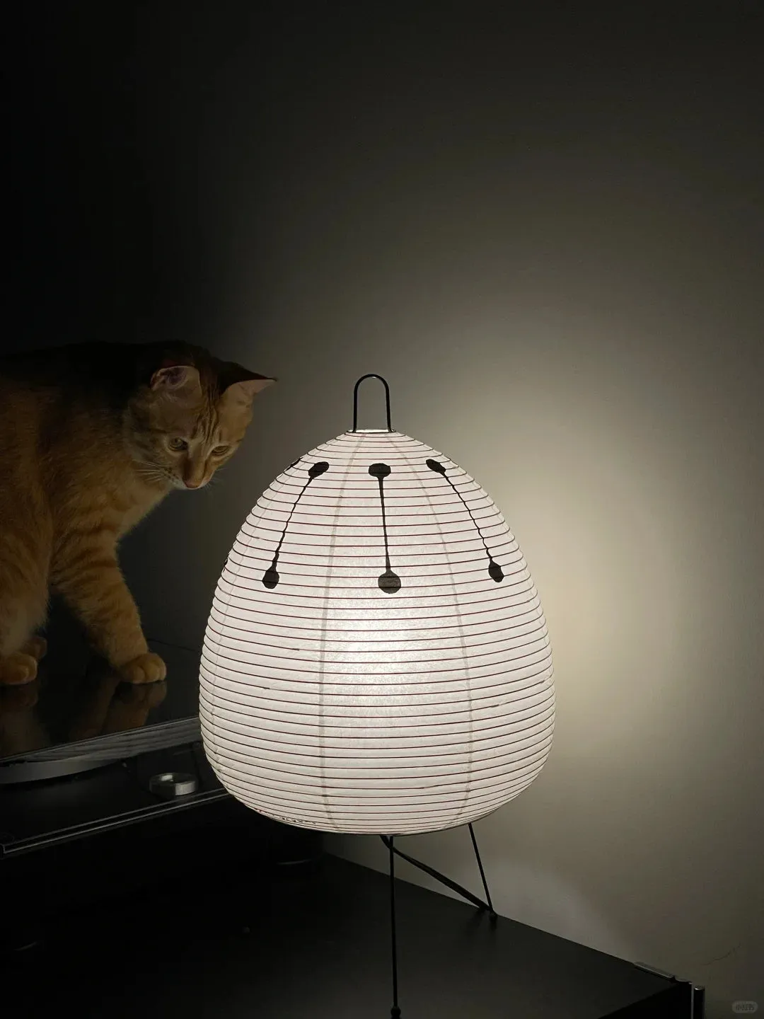 Akari 1A Series Table Lamp, Noguchi Lamp