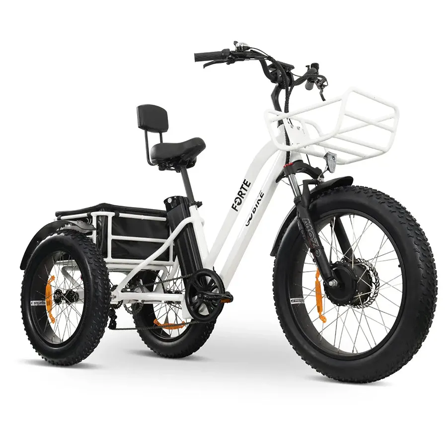 GOBike Forte - Step-Through Fat Tire Electric Tricycle - Top Speed 20mph - 750W