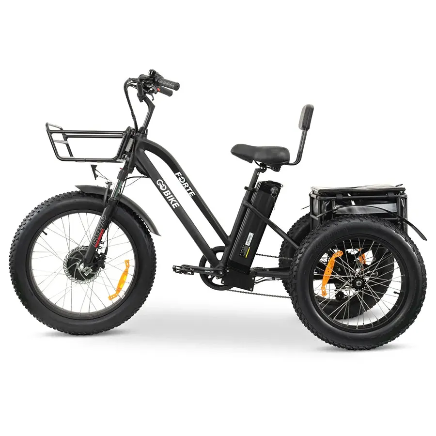 GOBike Forte - Step-Through Fat Tire Electric Tricycle - Top Speed 20mph - 750W