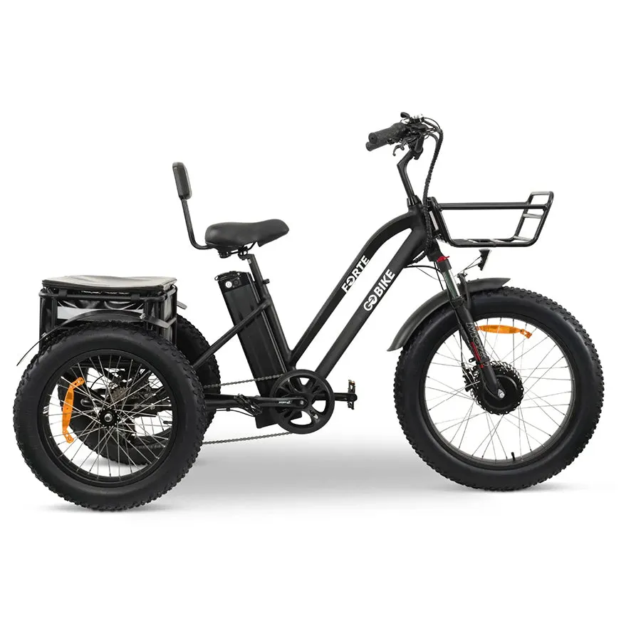 GOBike Forte - Step-Through Fat Tire Electric Tricycle - Top Speed 20mph - 750W