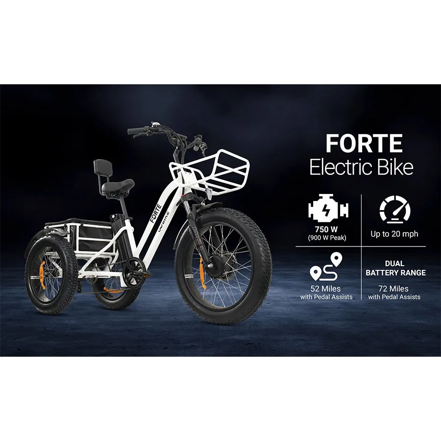 GOBike Forte - Step-Through Fat Tire Electric Tricycle - Top Speed 20mph - 750W