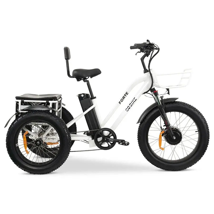 GOBike Forte - Step-Through Fat Tire Electric Tricycle - Top Speed 20mph - 750W