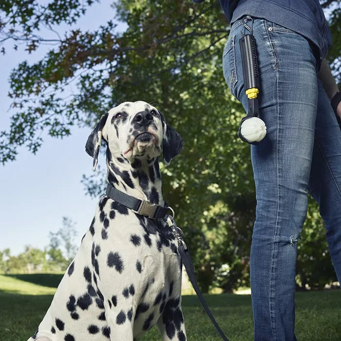 Huck 'N Tuck GlowStreak® Collapsible Thrower   LED Ball