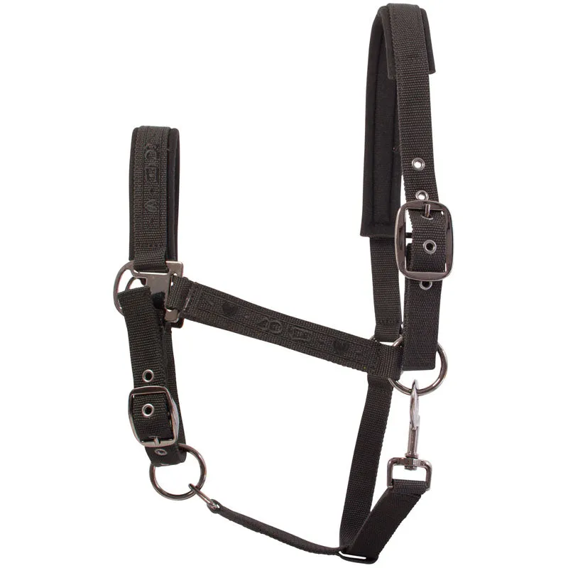 Imperial Riding Let's Dance Headcollar